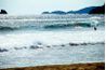 Surfers et pélicans de plongée offrent des animations sur la plage de Los Cerritos.