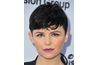 Actrice Ginnifer Goodwin's full and arched brow shape adds angles to her round shaped face.