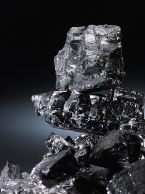 Formes de charbon de l'animal reste comprimé dans la roche durant des milliers d'années.