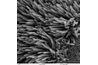 Image électronique à balayage au microscope de cils dans les poumons (du domaine public)