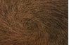 Cowlicks déterminent la direction de la croissance des cheveux.