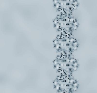 La formation de l'ADN est essentielle dans la réplication cellulaire.