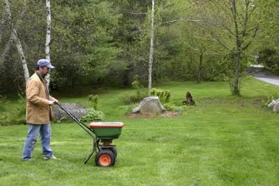 Appliquer Turf Builder WinterGuard sur une pelouse humide ou sec.