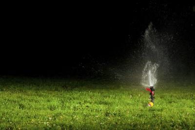 Appliquer pendant que votre pelouse est humide, mais attendre 24 heures à l'eau ou de tondre et de 30 jours pour des semences ou de gazon.